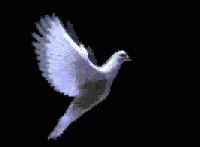 Merpati